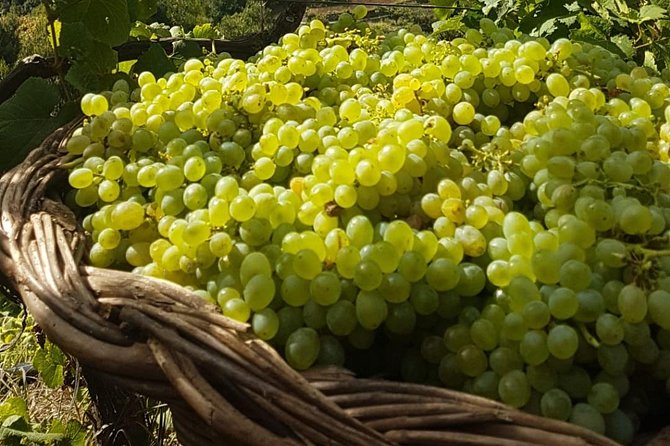 Skywalk with Wines Tasting and Vineyards Half day 4x4 Adventure - Who will enjoy this half-day adventure