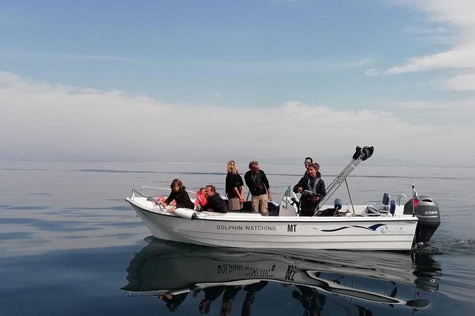Small Group Dolphin and Wildlife Watching Tour in Faro - Key points at a glance