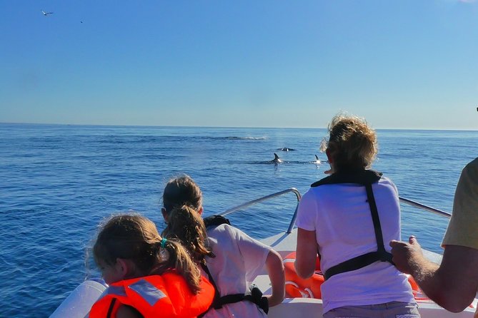 Small Group Dolphin and Wildlife Watching Tour in Faro - Searching the Atlantic for dolphins