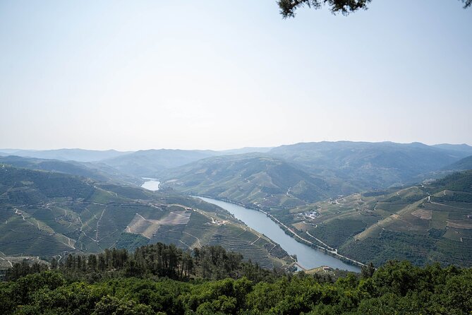 Small Group Douro Valley Wine Tour with Lunch and Cruise - What the long road time really feels like
