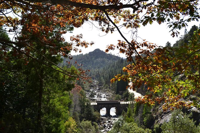 Small Group Geres National Park Full Day with picnic from Porto - What the $120.93 price really buys