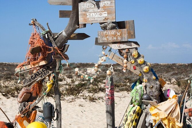Small-Group Tour in Faro Islands - Cruising through Ria Formosa with a biologist