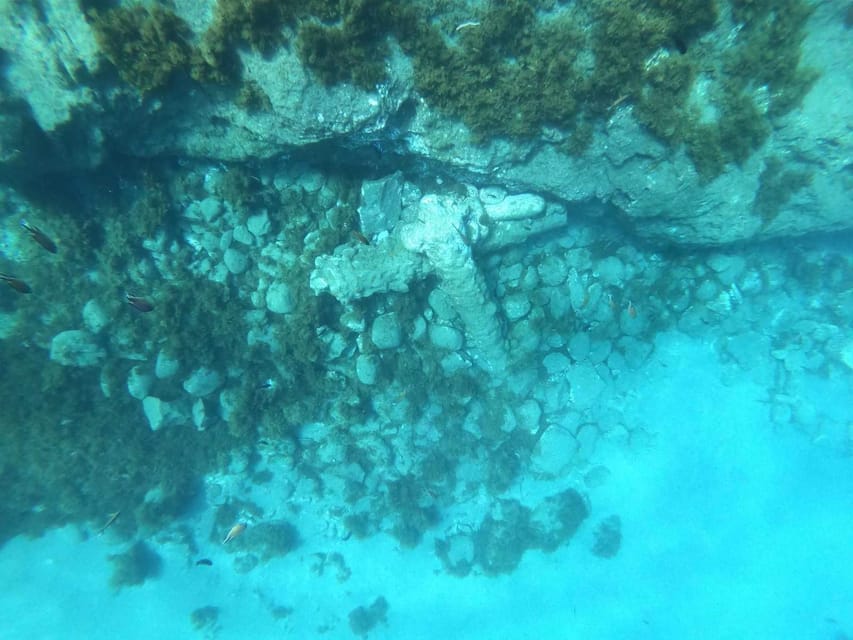 Snorkeling Tour- Vila Franca do Campo Islet - Does the guide stay in the water?