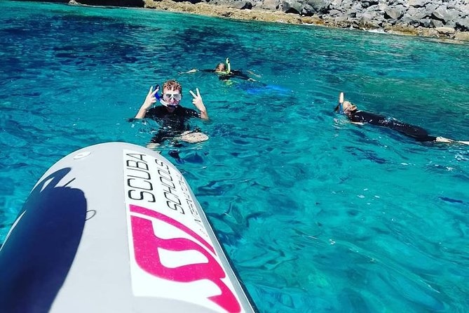 Snorkelling Trip at Ponta de São Lourenço Protected Area - Timing, comfort, and the return journey