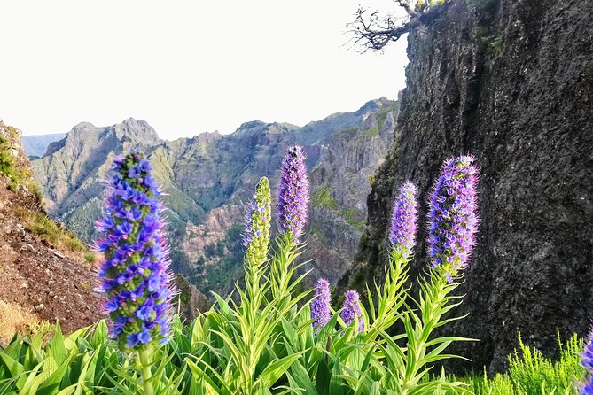 Sunrise Guided Hike PR1 Pico do Areeiro Pico Ruivo small group - Pico do Areeiro: the dramatic opening section