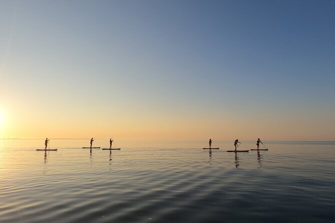 Sunrise SUP Caves Tour in Lagos – Small Group Experience - How beginner-friendly is the tour?