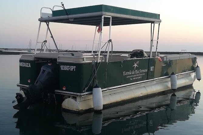 Sunset Tour | Ria Formosa - From Faro - Birds, islands, and what you may see