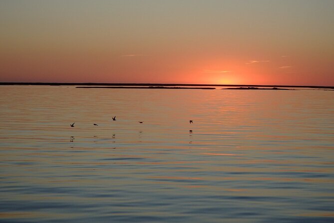 Sunset Tour | Ria Formosa - From Faro - Skippers who shape the experience