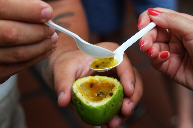 Taste Funchal: food, wine & cultural tour - Why this food walk works as a first look at Funchal