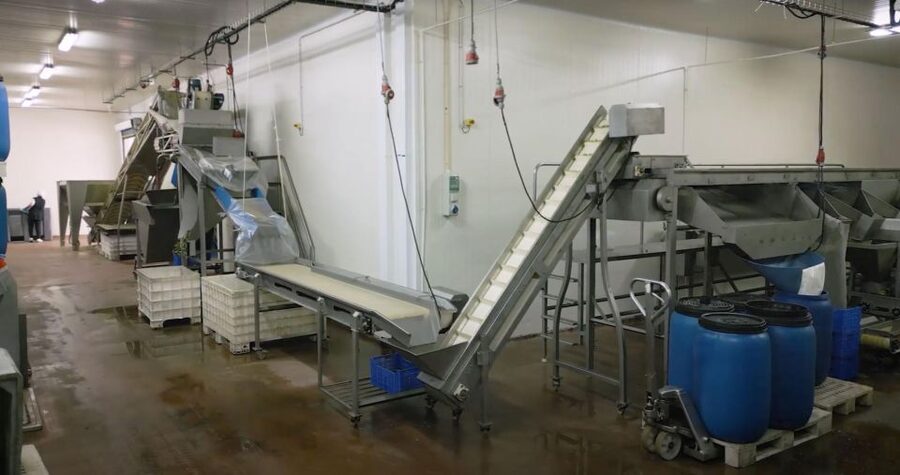 Tavira: Olive Factory Tour and Tasting - The shop is worth leaving time for
