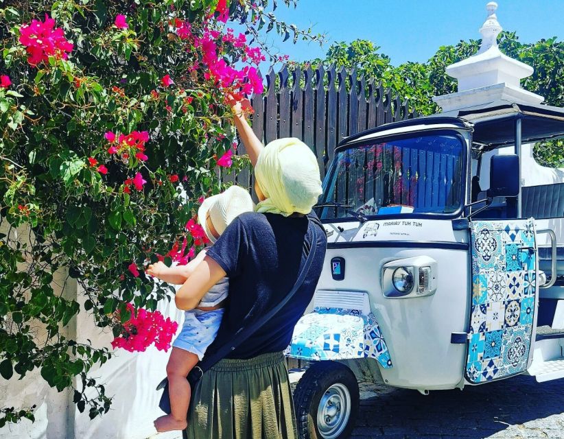 Tavira: Tuk-Tuk City Tour - The Atalaia salt pans and a short pause