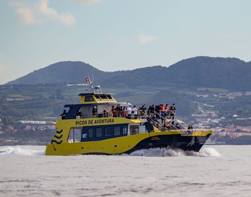 Terceira: Half-Day Dolphin and Whale Watching Tour - The coast and Ilhéu das Cabras