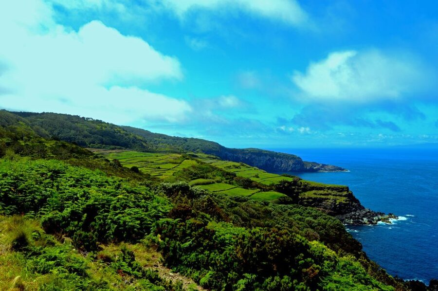 Terceira: Half-Day Island Tour with Cheese Tasting - Baía do Negrito: Fortifications and Whaling Memories