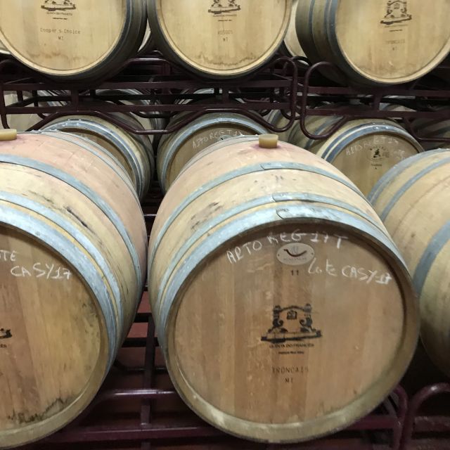 The Real Algarve: 2 Boutique Wineries & Silves Tour - Key points at a glance