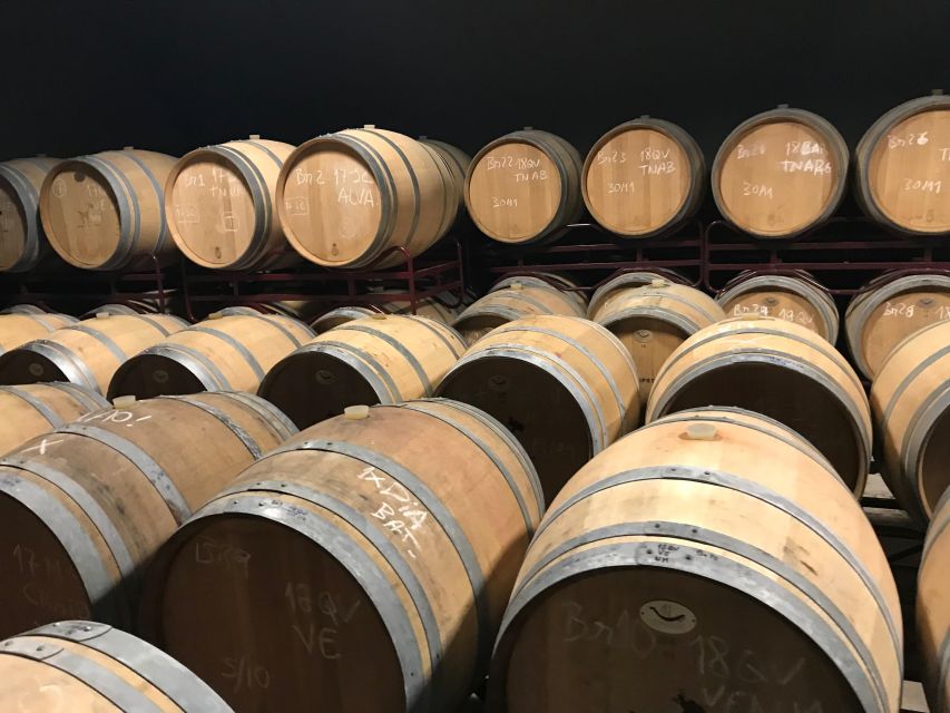 The Real Algarve: 2 Boutique Wineries & Silves Tour - First tasting near Lagoa