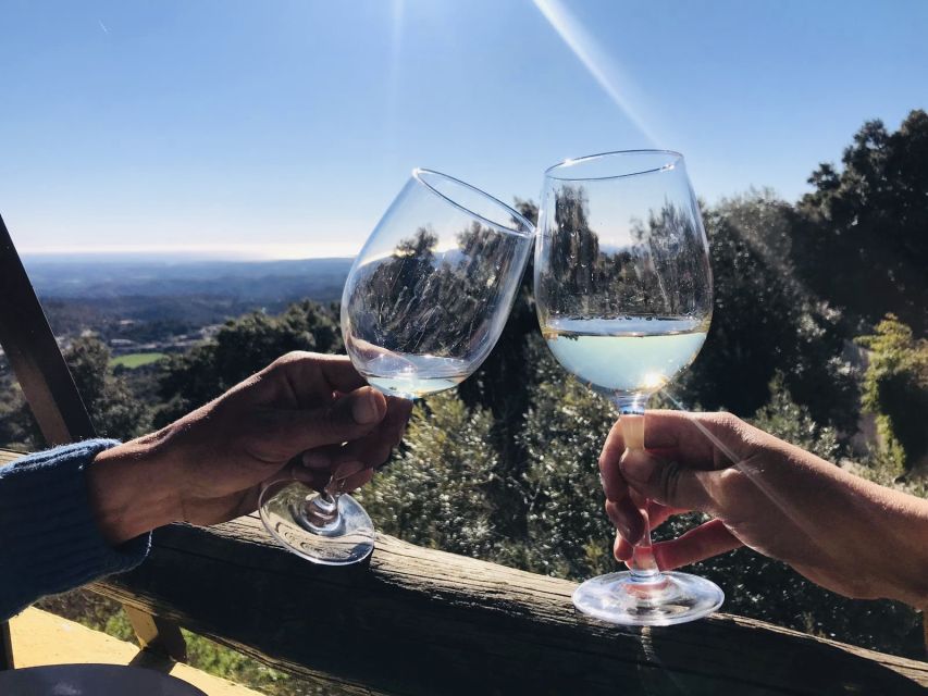 The Real Algarve: 2 Boutique Wineries & Silves Tour - Quinta do Francês and the second set of wines
