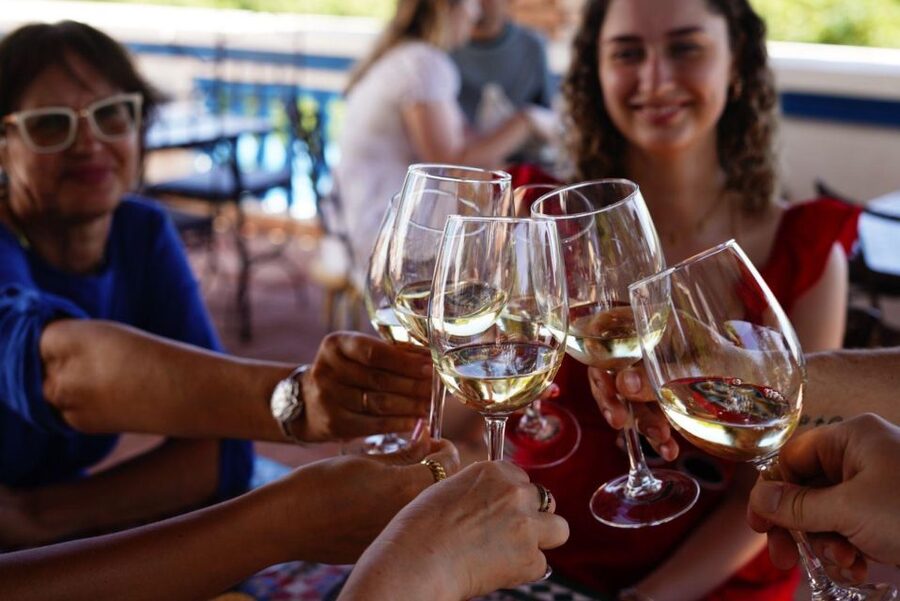 The Real Algarve: 2 Boutique Wineries & Silves Tour - Returning to Albufeira after seven hours