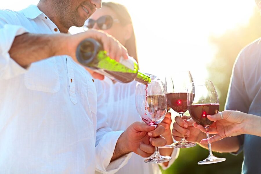 The Real Algarve: 2 Boutique Wineries & Silves Tour - Who will enjoy this Algarve outing?