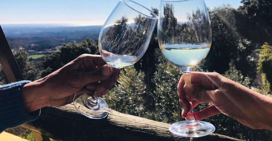 The Real Algarve: 2 Boutique Wineries & Silves Tour - The 30-minute ride from Albufeira to Lagoa