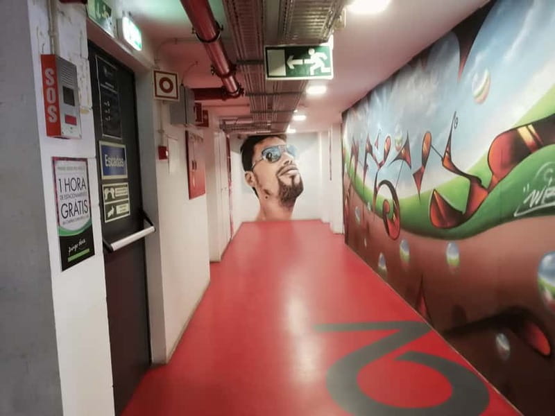 The Real Lisbon Street Art Private Guided Tour by Minivan - Practical comfort, mobility, and family details