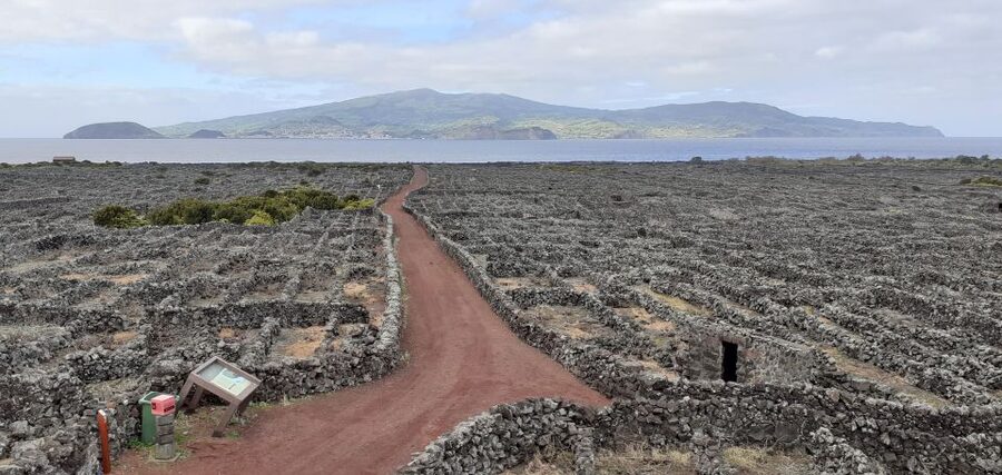 Tours on Pico Island - Cultural and Natural Landscape - The UNESCO vineyard country