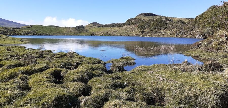 Tours on Pico Island - Cultural and Natural Landscape - Is $111 good value?
