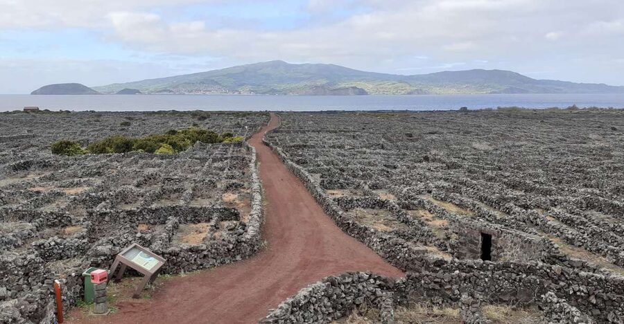 Tours on Pico Island - Cultural and Natural Landscape - Lagoa do Capitão and Pico’s interior