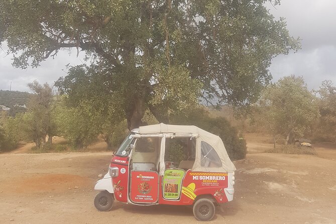 Tuk tuk tour- the best way to see coast and country side - The strongest part is the unhurried local contact