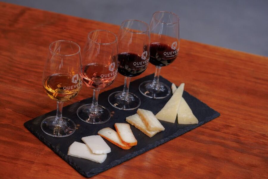 Vila Nova de Gaia: Port Wine Tasting with Cheese Pairing - A focused Port lesson in Vila Nova de Gaia