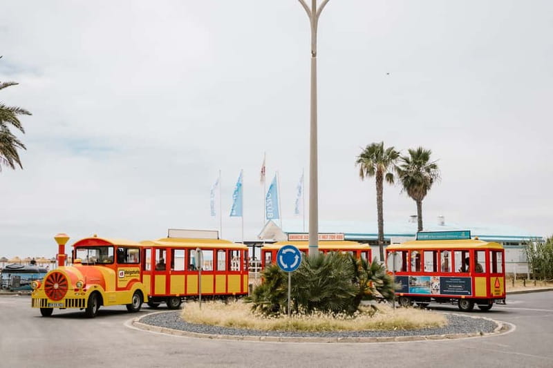 Vilamoura: Tourist Train City Tour - Starting beside Vilamoura Marina