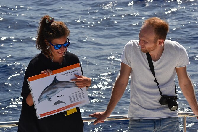 VipDolphins Luxury Whale Watching - Leaving Funchal for the open Atlantic