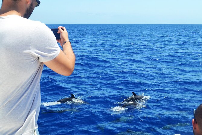 VipDolphins Luxury Whale Watching - Snacks, drinks, and the VIP touch