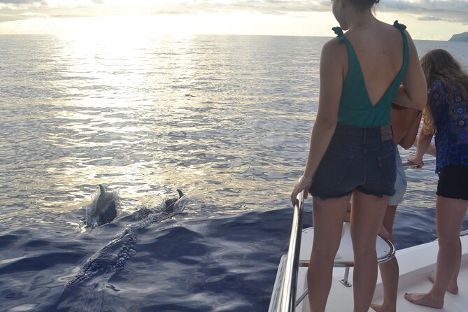 VipDolphins Luxury Whale Watching - Swimming below Cabo Girao