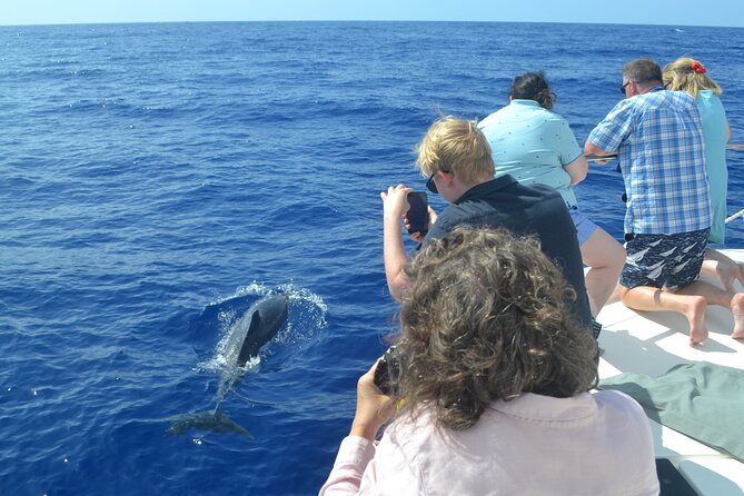 VipDolphins Luxury Whale Watching - What the $95.53 price really buys