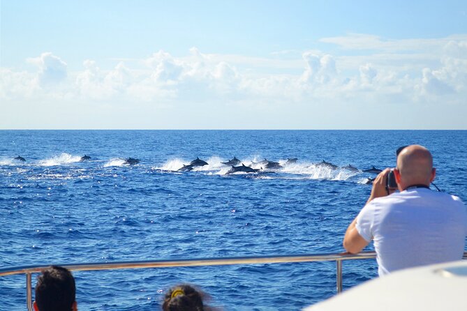 VipDolphins Luxury Whale Watching - Who should book this cruise