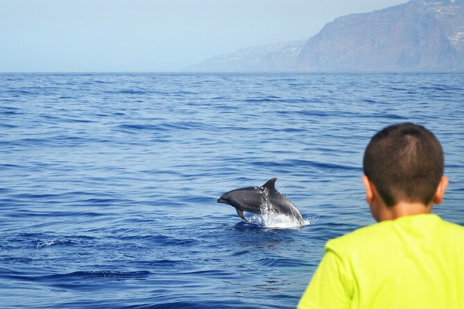 VipDolphins Luxury Whale Watching - Booking, cancellation, and weather details