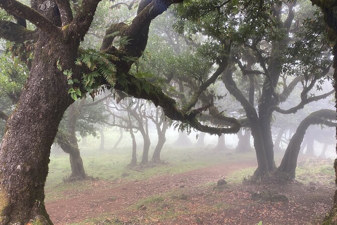 West Side Private Full Day Tours around Madeira Island - Porto Moniz is the day’s main reward