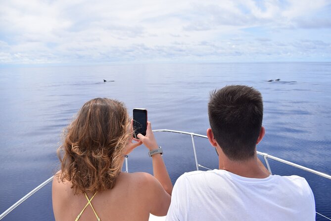Whale and Dolphin Watching Tour in Madeira - Starting at Calheta Marina