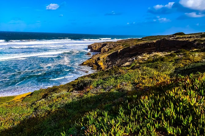 Wild and Wonderful West Coast Full Day Tour - Carrapateira dunes and open coastal space