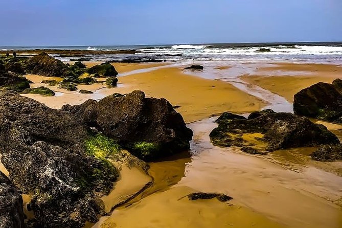 Wild and Wonderful West Coast Full Day Tour - Monte Clérigo, a small village by the sea