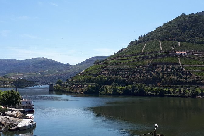 Wine experience with a sommelier - The one-hour Rabelo boat ride