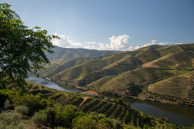 Wine experience with a sommelier - Second boutique farm and the value of two tastings