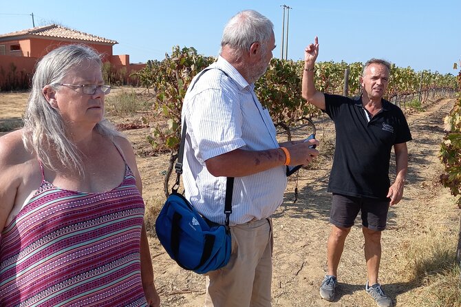 Wine Lovers: Winery Tour w/ Tasting & Tapas (Albufeira/Vilamoura) - What this three-hour Algarve outing is really like