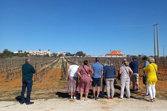 Wine Lovers: Winery Tour w/ Tasting & Tapas (Albufeira/Vilamoura) - Who will enjoy this wine tour most?