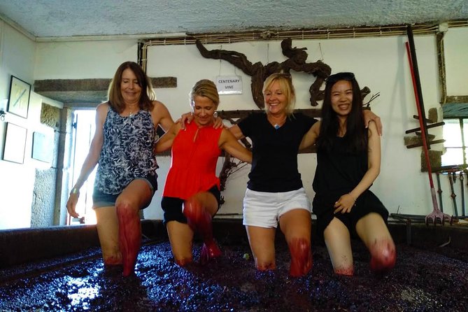 Wine Venture and Boat Trip in Douro Valley from Porto - What you are really paying for at $199.53