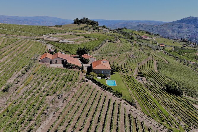 Winery Tour and Wine Tasting Quinta da Portela de Baixo in Lamego - The views and time after the tasting