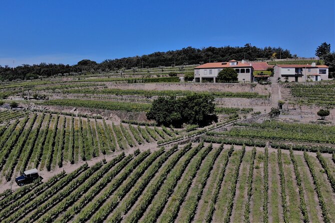 Winery Tour and Wine Tasting Quinta da Portela de Baixo in Lamego - Is $36.20 a fair price?
